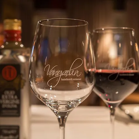 Hotel Vangaelen 3*